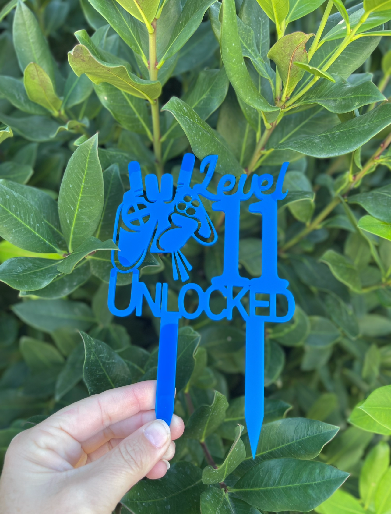 Cake Toppers