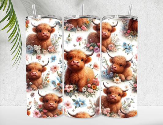Highland Cow